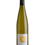 PINOT GRIS <br> 2023