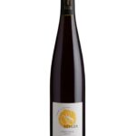 PINOT NOIR <br> Bacchus 2024