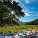 Dîner au cœur du vignoble - 2026 - ADULTES