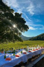 Dîner au cœur du vignoble - 2026 - ENFANTS